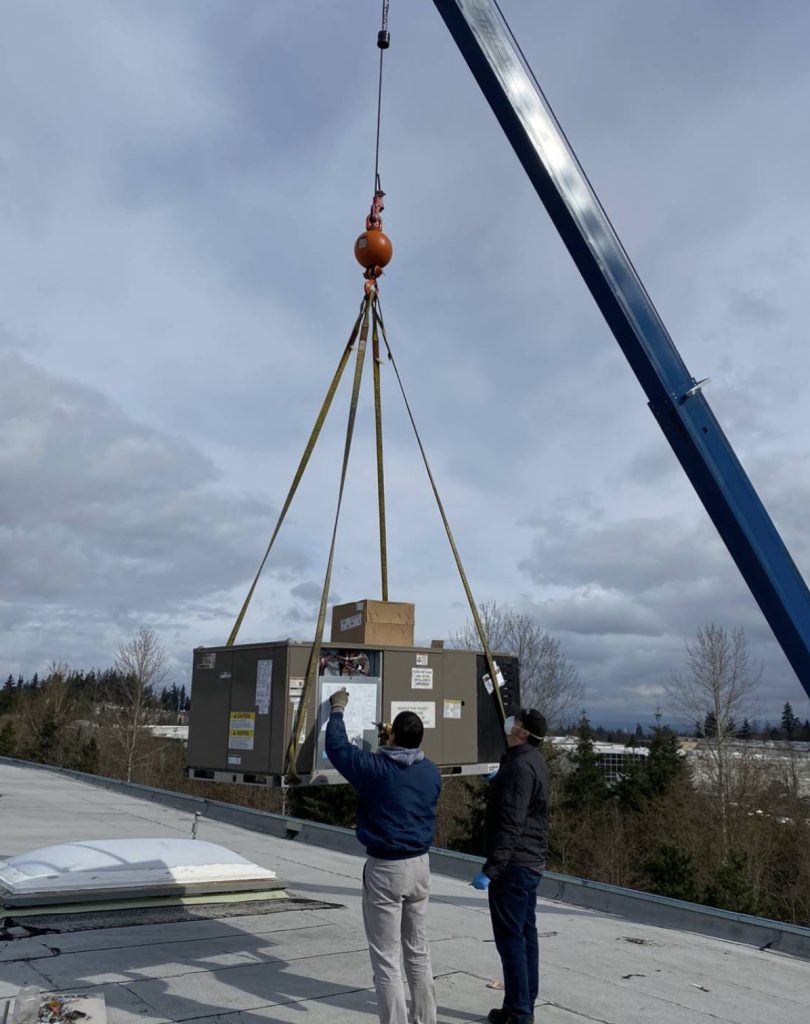 Father and Son, Petr and Paul